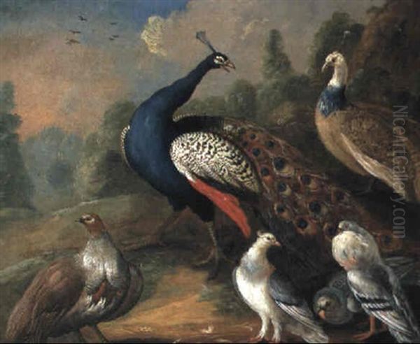 A Peacock, A Peahen, A Partridge And Pigeons In A Landscape Oil Painting by Marmaduke Cradock