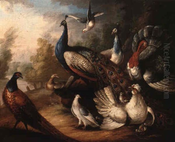 Ornamental Fowl In A Landscape by Marmaduke Cradock