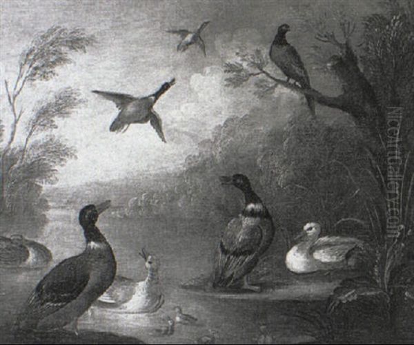 A Mallard Duck And Chicks On A River With Pheasants Flying Overhead Oil Painting by Marmaduke Cradock