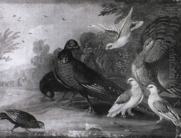 A Peacock, A Pheasant And Other Birds In A Landscape Oil Painting by Marmaduke Cradock