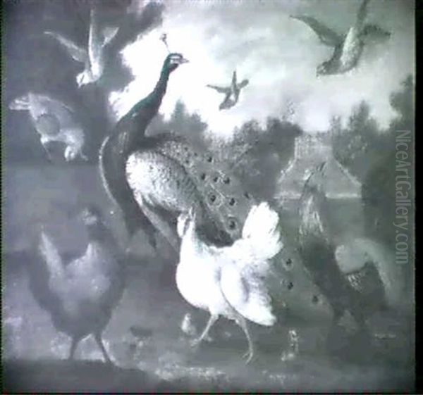 Ornamental Fowl In A Landscape Oil Painting by Marmaduke Cradock