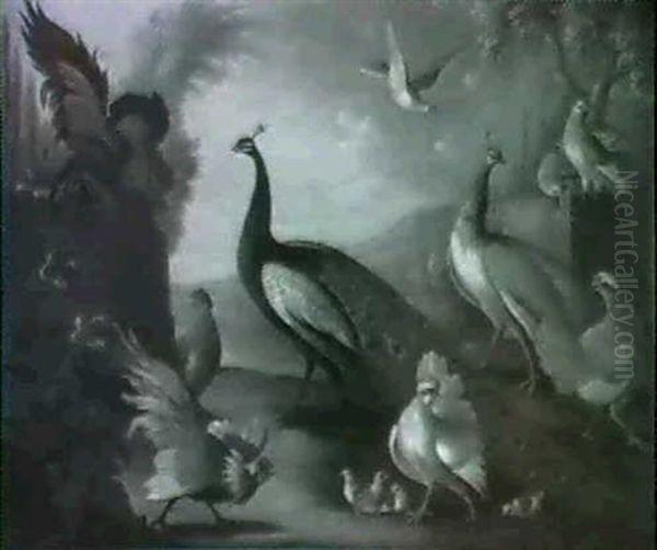 Two Peacocks, Doves, Chickens And A Rooster In A Park Oil Painting by Marmaduke Cradock