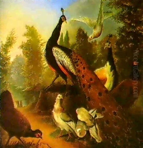 A Peacock And Other Birds In A Landscape Oil Painting by Marmaduke Cradock