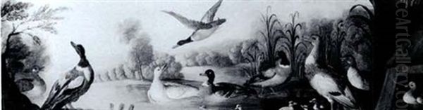 Mallard Ducks With Their Ducklings In A River Lands-        Cape Oil Painting by Marmaduke Cradock