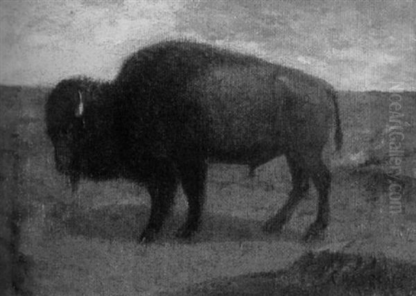 Buffalo Oil Painting by Charles Craig