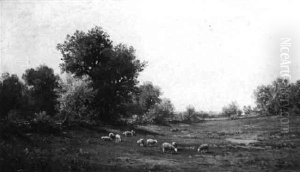 Sheep Grazing In An Autumn Meadow Oil Painting by Thomas Bigelow Craig