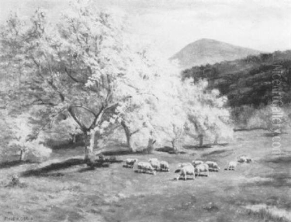 Apple Trees And Sheep Oil Painting by Thomas Bigelow Craig