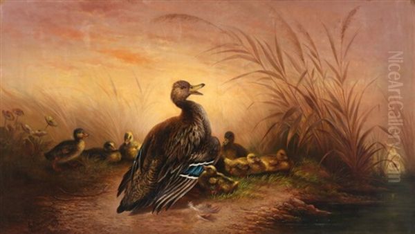 Duck With Her Ducklings Oil Painting by Carl Ceasar Adelbert Cramer