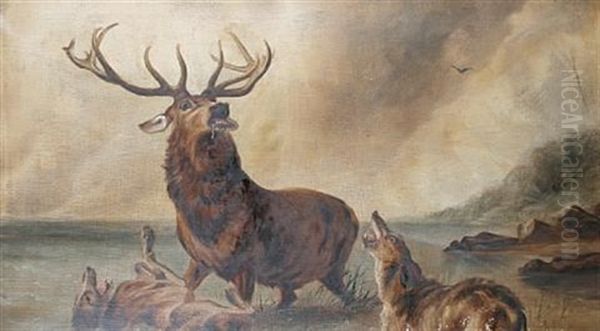 Stags On The Moors (a Pair) Oil Painting by W. J. Crampton