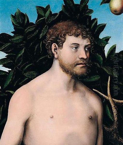 Adam Oil Painting by Lucas Cranach the Elder