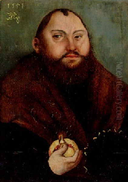 Portrait Of The Elector John Frederick Of Saxony, Bust Length, In Black Coat And Fur Collar, Holding A Pomegranate Oil Painting by Lucas Cranach the Elder