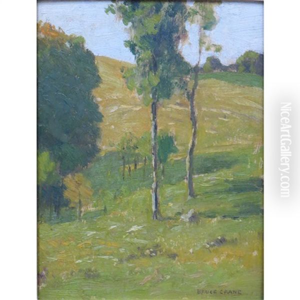 Hillsides, Herkimer Co Oil Painting by Bruce Crane