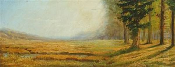 Forest Meadow Oil Painting by Bruce Crane