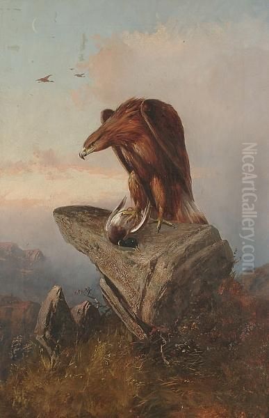 An Eagle And Its Prey On A Rock Oil Painting by William Ansdell