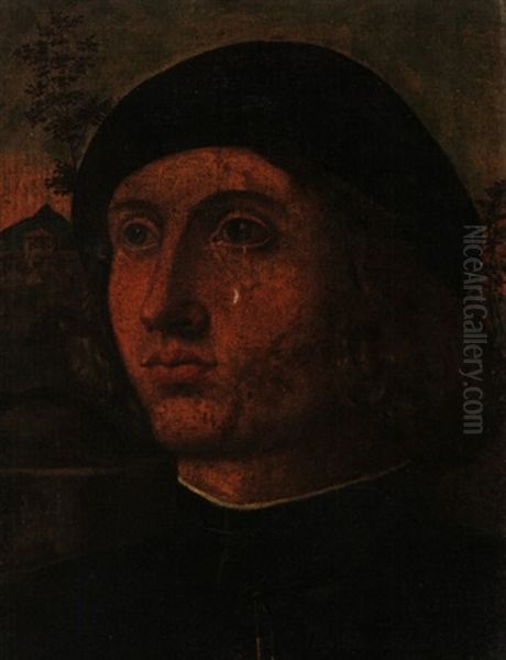 Portrat Eines Jungen Edelmannes Oil Painting by Lorenzo Di Credi