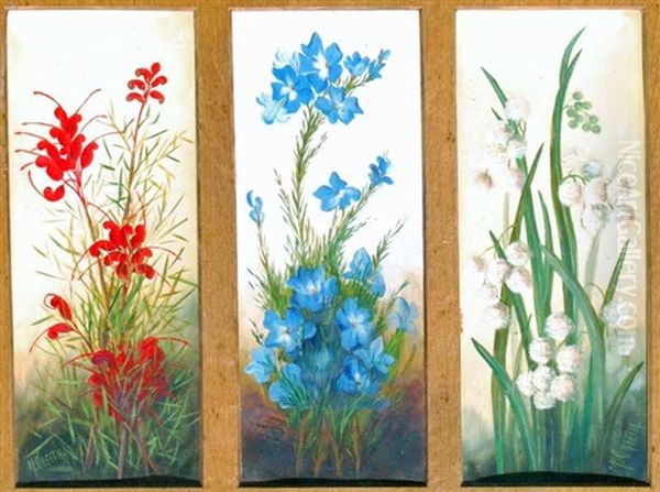 Australian Flowers (triptych) Oil Painting by May Creeth