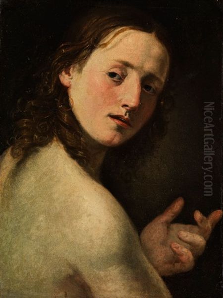 Halbbildnis Eines Jungen Mannes (johannes Der Taufer?) Oil Painting by Giovanni Battista Crespi (il Cerano)