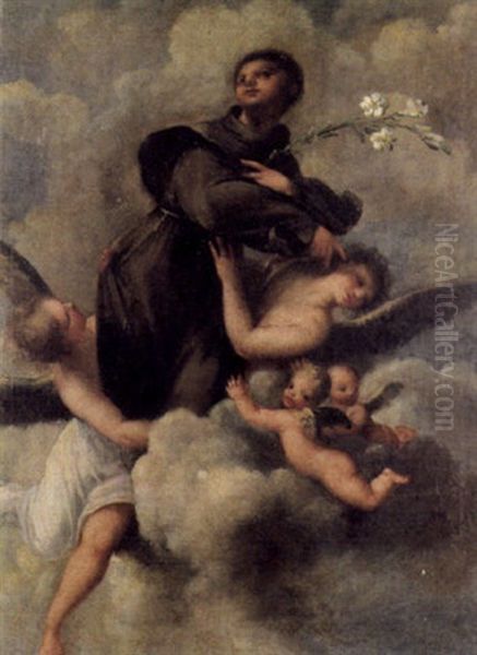 Der Heilige Antonius Wird Von Engeln Zum Himmel Emporgetragen Oil Painting by Giuseppe Maria Crespi