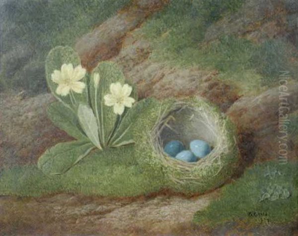 Primroses And A Moss-covered Blackbird's Nest On A Grassy Bank Oil Painting by George Crisp