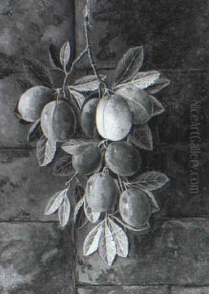 Greengages And Plums (a Pair) Oil Painting by George Crisp