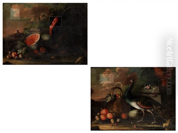 Fruchtestilleben Mit Einem Truthahn; Fruchte Und Fruchtekorb Neben Einem Pfau (pair) Oil Painting by Angelo Maria (Crivellone) Crivelli