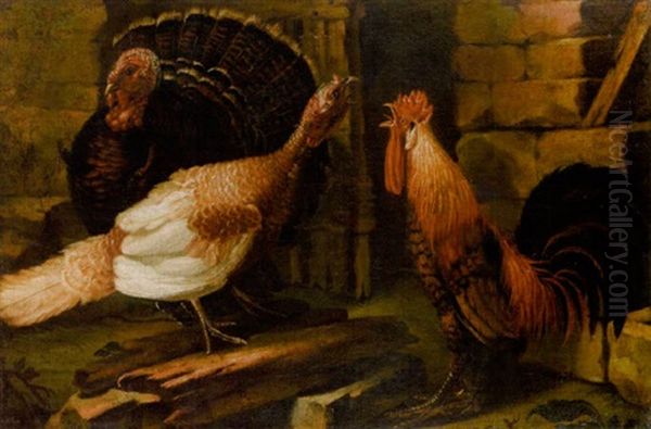 Turkeys And A Cockerel In A Farmyard Oil Painting by Angelo Maria (Crivellone) Crivelli