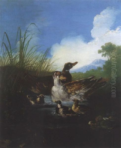 Canards Dans Un Etang Oil Painting by Angelo Maria (Crivellone) Crivelli