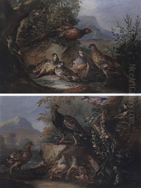 Pheasant, Red Legged Partridge And A Green Woodpecker Oil Painting by Angelo Maria (Crivellone) Crivelli