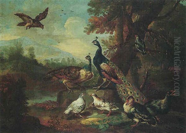 An Autumnal Landscape With A Falcon, Two Peacocks, And Other Poultry Oil Painting by Angelo Maria (Crivellone) Crivelli