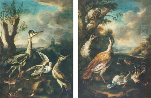 Oiseaux D'eau Dans Un Paysage Oil Painting by Angelo Maria (Crivellone) Crivelli