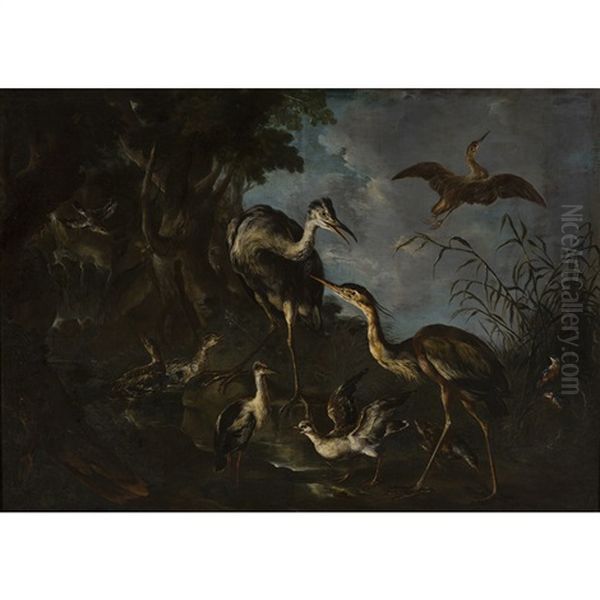 A Wooded Landscape With Assorted River Birds And Animals Oil Painting by Giovanni (Crivellino) Crivelli