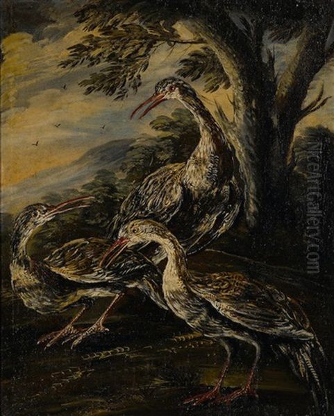 A Study Of Birds With A Companion Painting (a Pair) Oil Painting by Giovanni (Crivellino) Crivelli