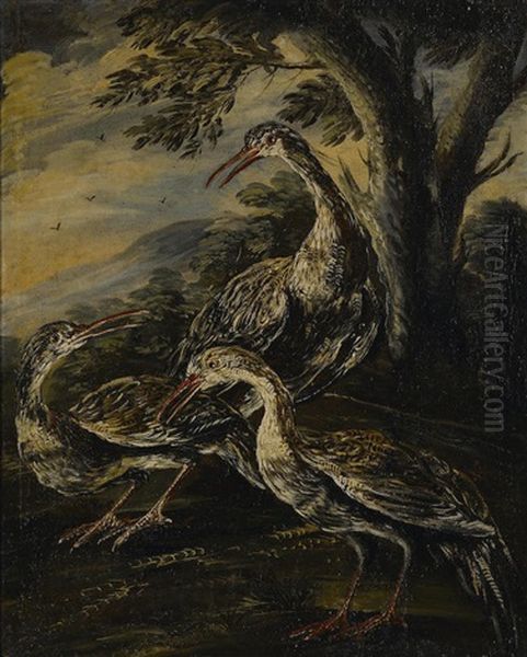 A Study Of Birds With A Companion Painting (a Pair) by Giovanni (Crivellino) Crivelli