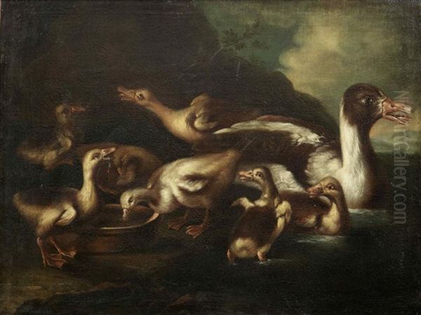 A Family Of Ducks On A Pond Oil Painting by Giovanni (Crivellino) Crivelli