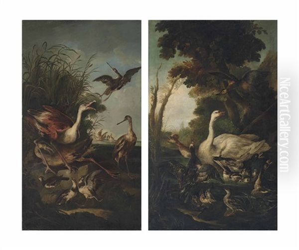 Flamingos, Lapwings And Other Waterfowl On The Bank Of A Lake; A Swan, Mallard Ducks With Ducklings, A Grebe And Other Waterfowl On A Pond In A Wooded Landscape Oil Painting by Giovanni (Crivellino) Crivelli