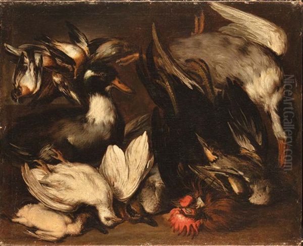 Natura Morta Con Gallo E Beccacce Oil Painting by Giovanni (Crivellino) Crivelli