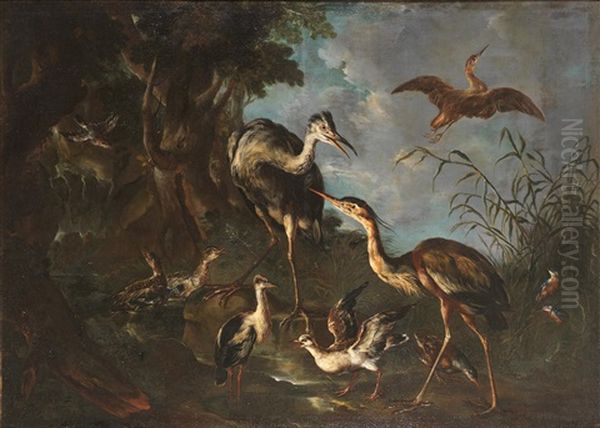 A Wooded Landscape With Heron, Kingfishers, Ducks, Water Rail And Other Aquatic Birds Beside A Pool Oil Painting by Giovanni (Crivellino) Crivelli