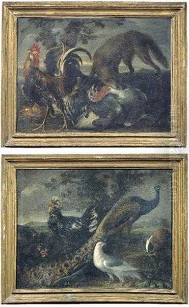 Natura Morta Con Uccelli E Pavone (+ Natura Morta Con Tacchino E Galli; 2 Works) Oil Painting by Giovanni (Crivellino) Crivelli