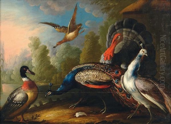 Oiseaux Pres D'un Lac Oil Painting by Giovanni (Crivellino) Crivelli