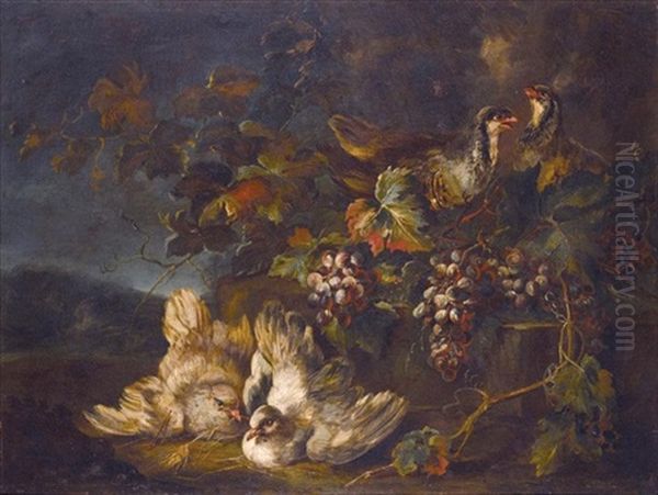 Still Life With Doves, Partridges And Grapes In A Landscape Oil Painting by Giovanni (Crivellino) Crivelli