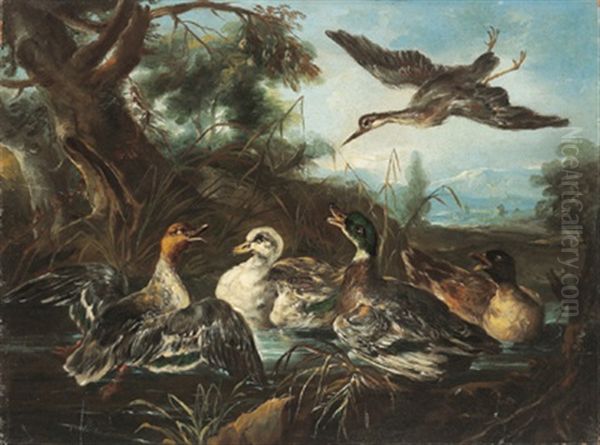 Gallo E Galline In Un Pasesaggio (+ Anitre E Un Airone In Un Paesaggio; Pair) Oil Painting by Giovanni (Crivellino) Crivelli