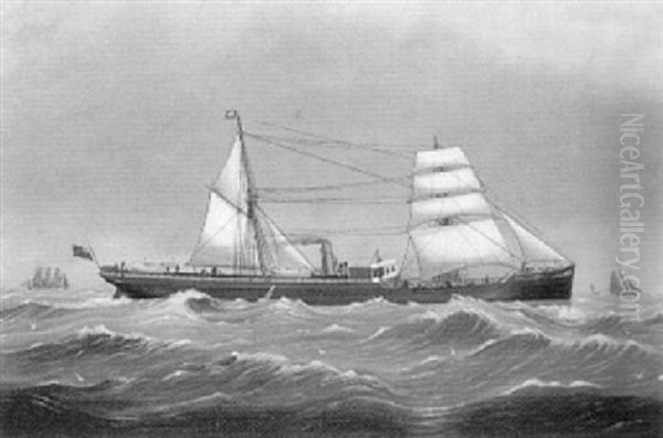 View Of The Steamship 