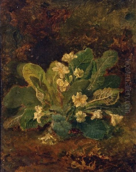 Study Of Primroses Oil Painting by John Crome the Elder