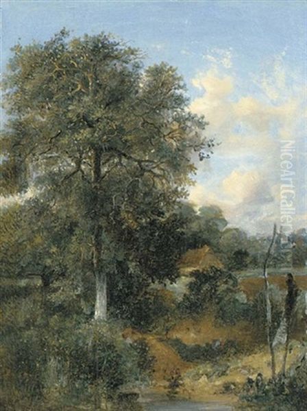 A Wooded Landscape With An Oak Oil Painting by John Crome the Elder