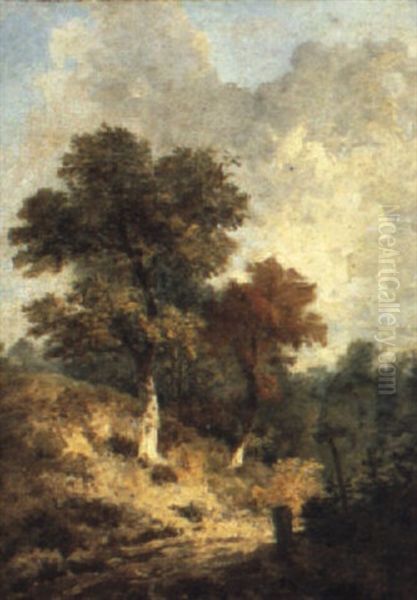 Landscape With A Woodland Road, Near Norwich Oil Painting by John Crome the Elder