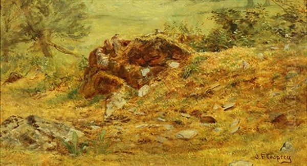 Woodland Stump Oil Painting by Jasper Francis Cropsey