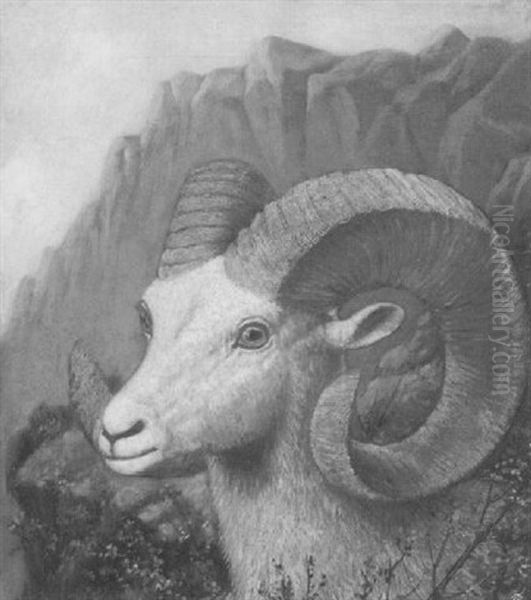 American Big Horn Sheep Oil Painting by Henry H. Cross