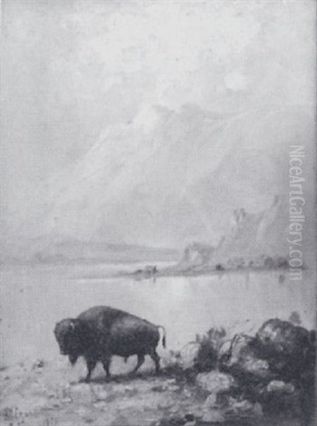 Untitled (lone Buffalo At The Water) Oil Painting by Henry H. Cross