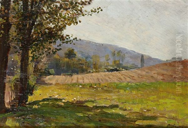 Paesaggio Oil Painting by Clemente Crova Di Vaglio