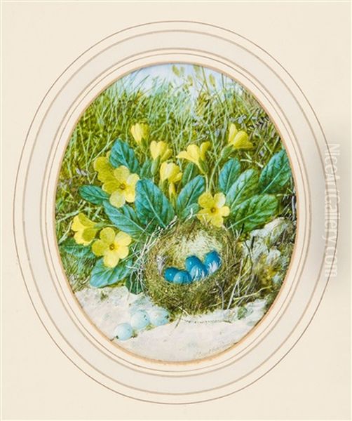 Spring, Birds' Nests With Flowers Oil Painting by William Cruickshank